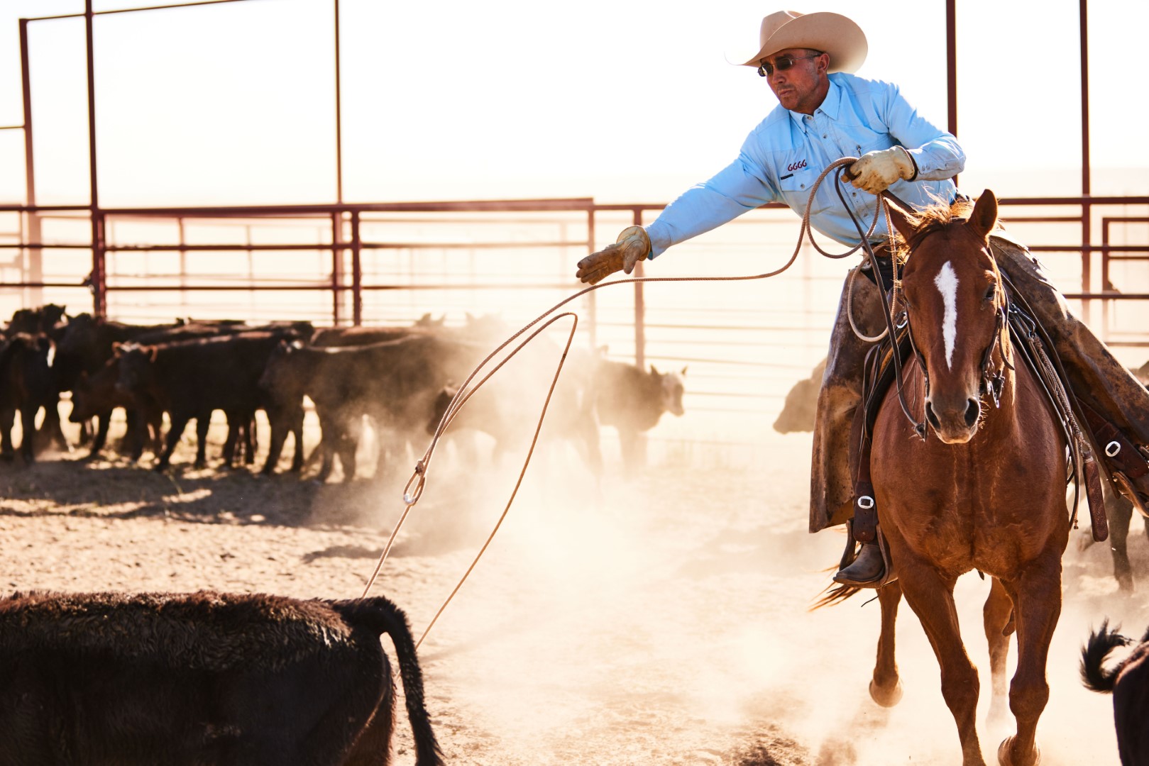 6666 Ranch – Gustav Schmiege Photography