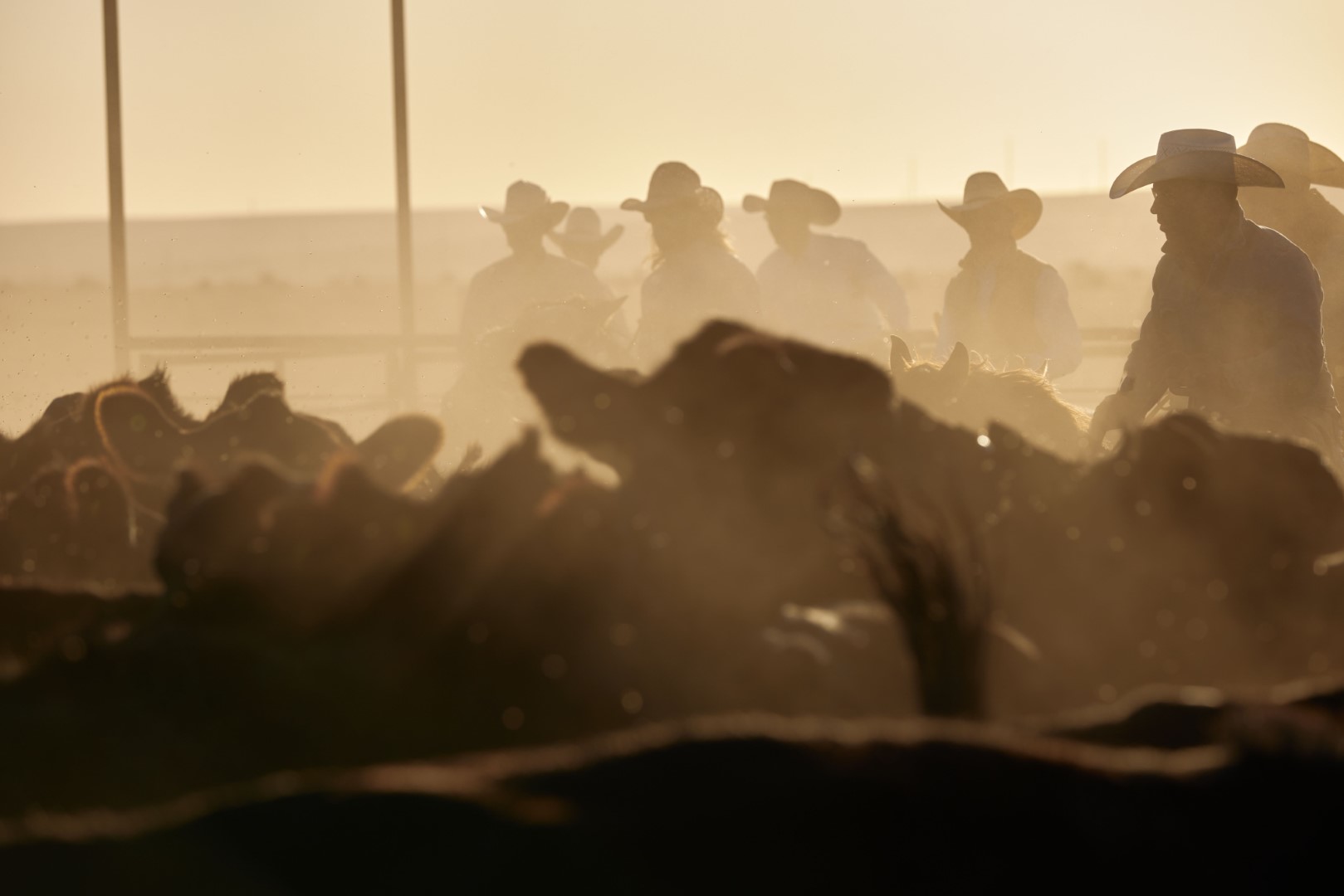 6666 Ranch – Gustav Schmiege Photography